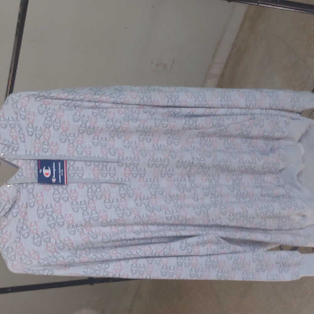 Big & Tall Champion Hoody Sweater